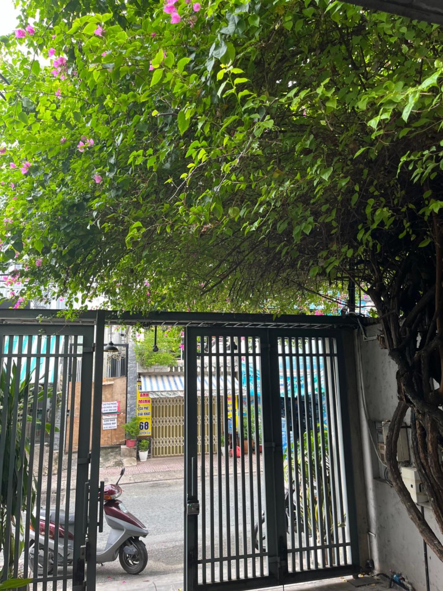 Zen Thao Dien Ho Şi Min Exterior foto